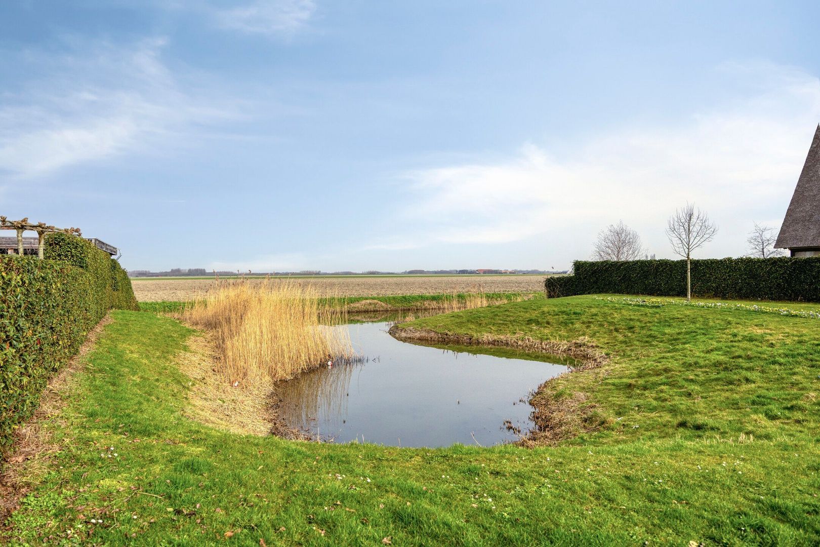 Bovenas 4, Moerkapelle foto-37 blur