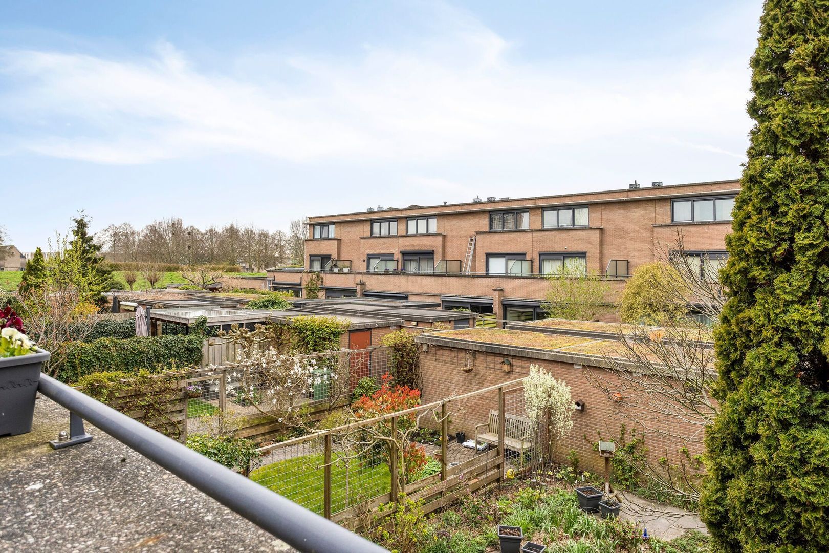 Raminhout 7, Zoetermeer foto-28 blur