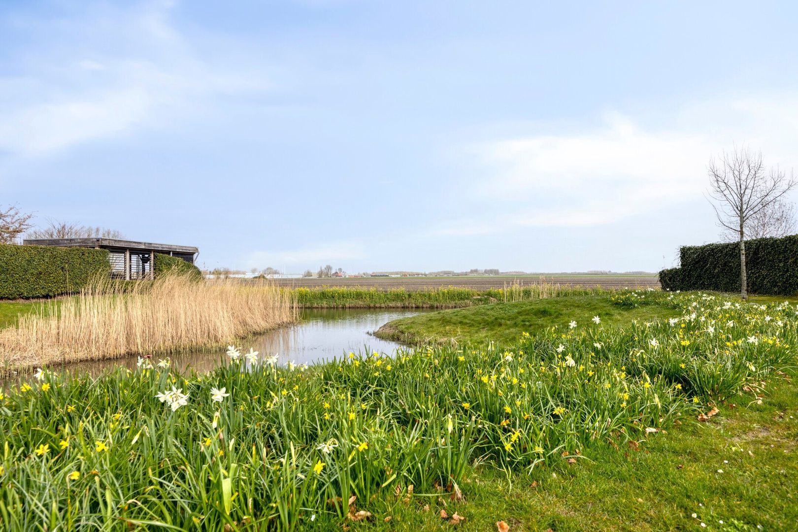 Walpen 4, Moerkapelle foto-4 blur