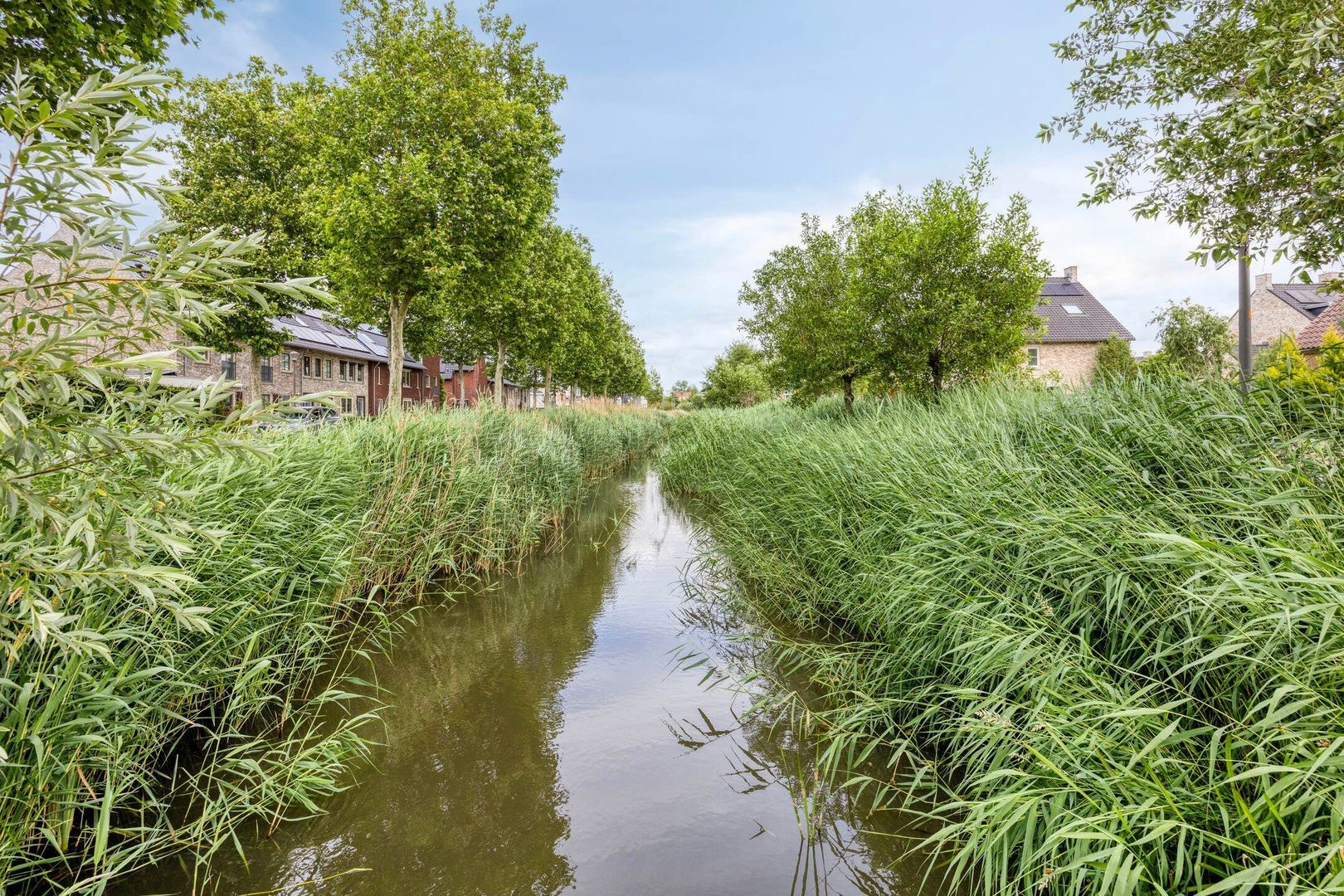 Graan voor Visch 43, Waddinxveen foto-34 blur