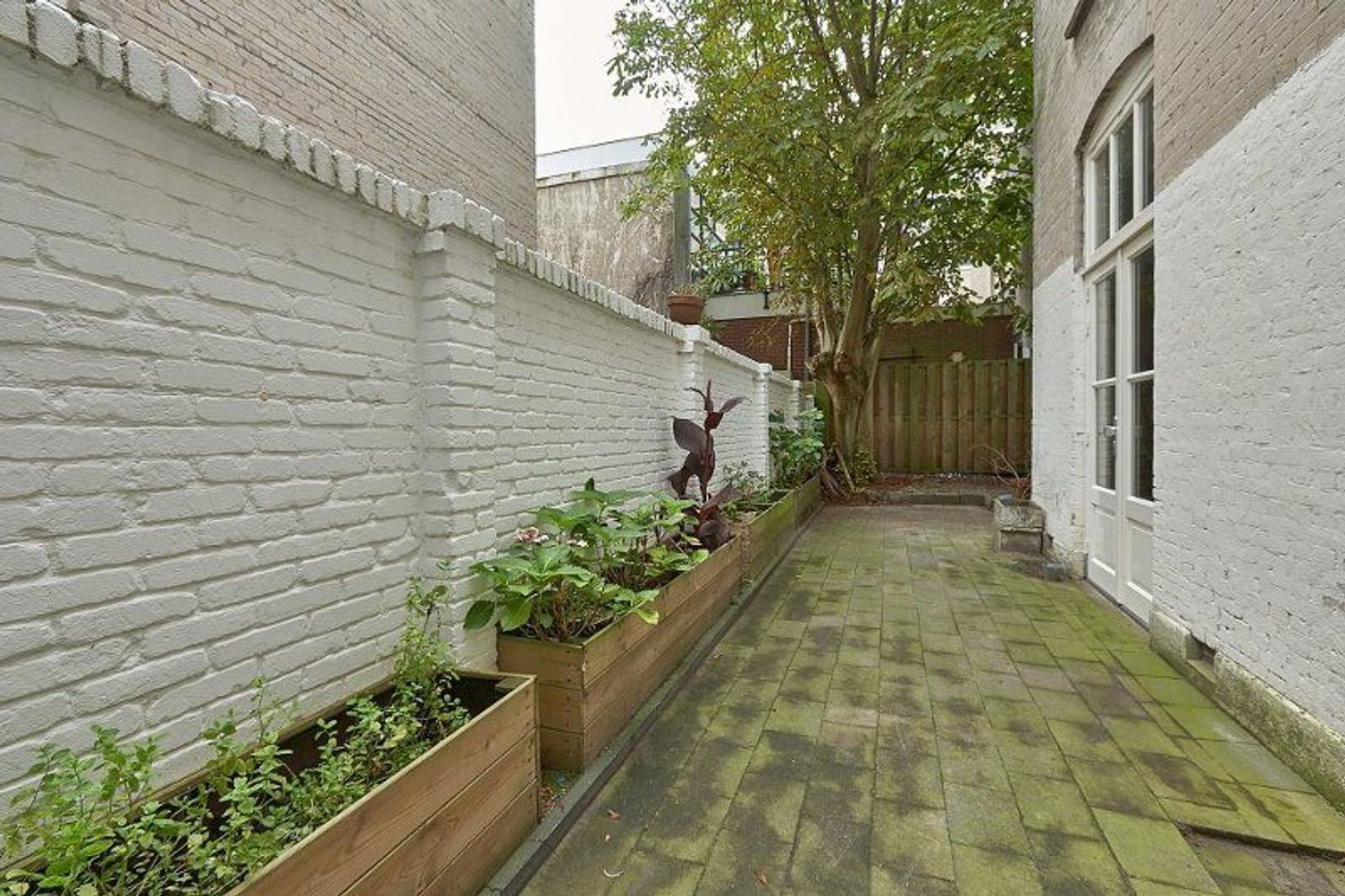 Jacob Hopstraat, Den Haag foto-15 blur