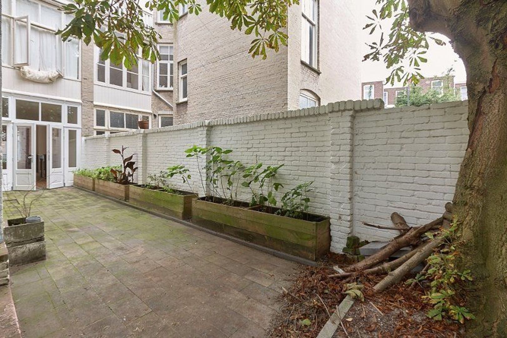 Jacob Hopstraat, Den Haag foto-17 blur