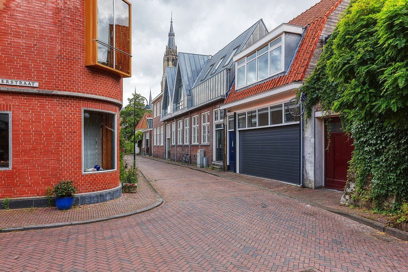 Pluympot, Delft foto-23 blur