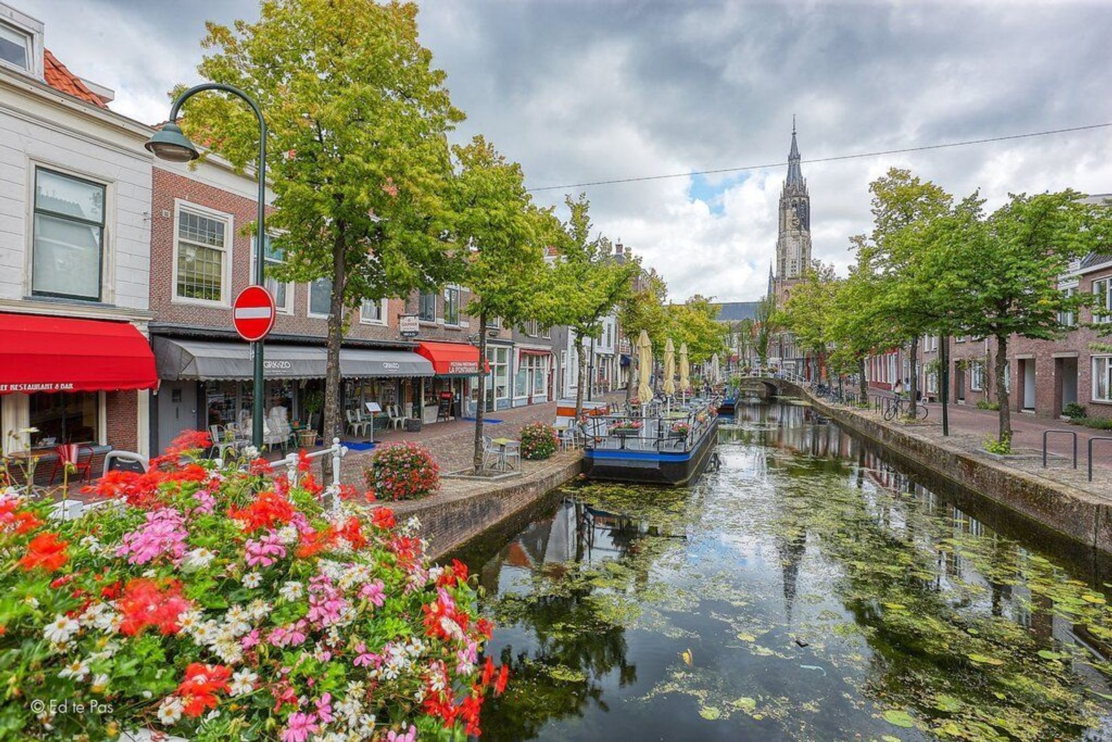 Pluympot, Delft foto-31 blur