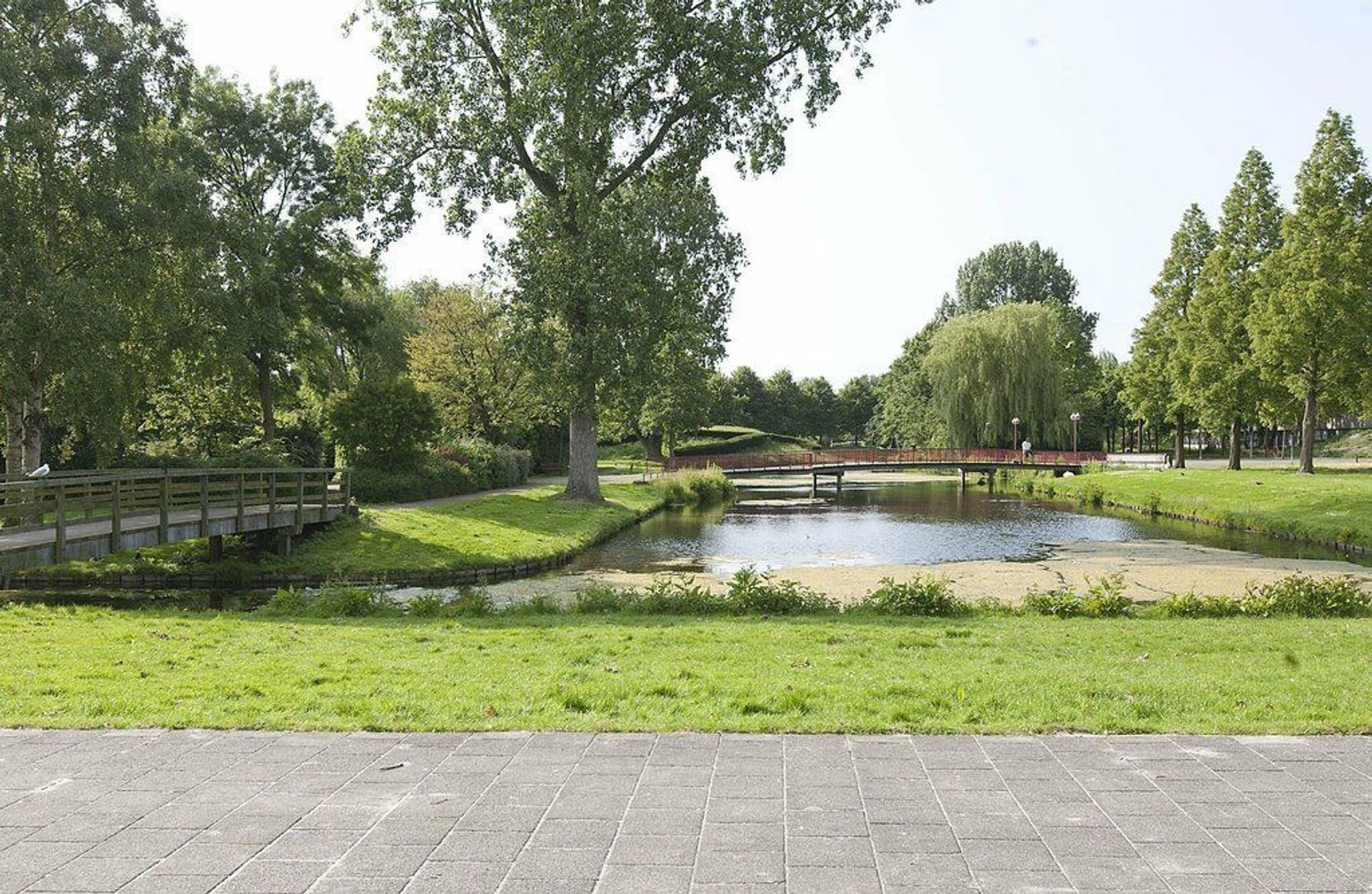 Bruijnings Ingenhoeslaan, Voorburg foto-15 blur