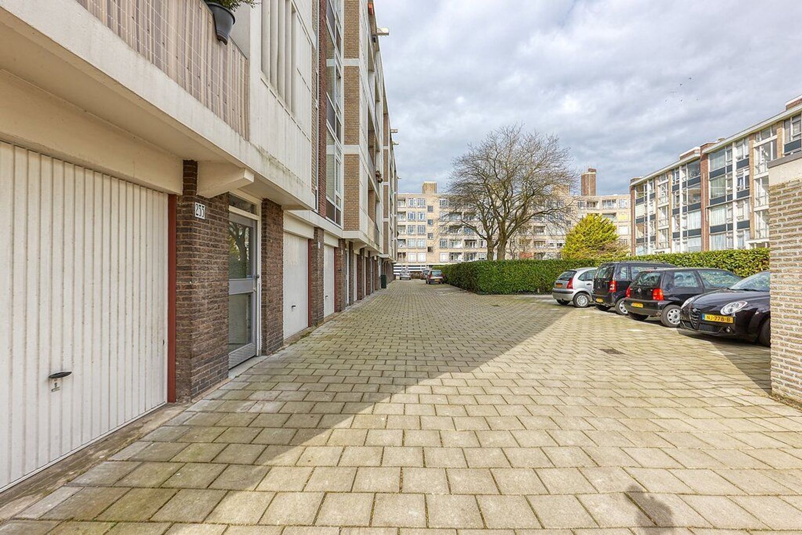 Smaragdhorst, Den Haag foto-25 blur