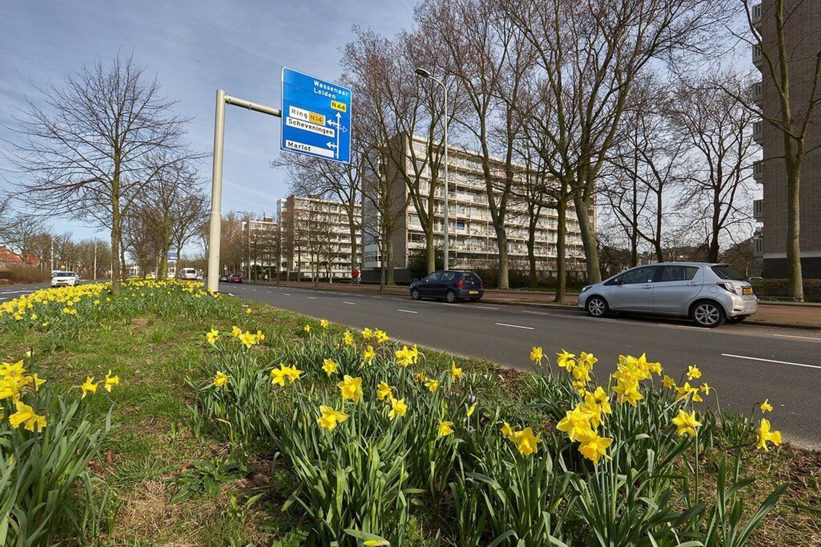 Smaragdhorst, Den Haag foto-28 blur