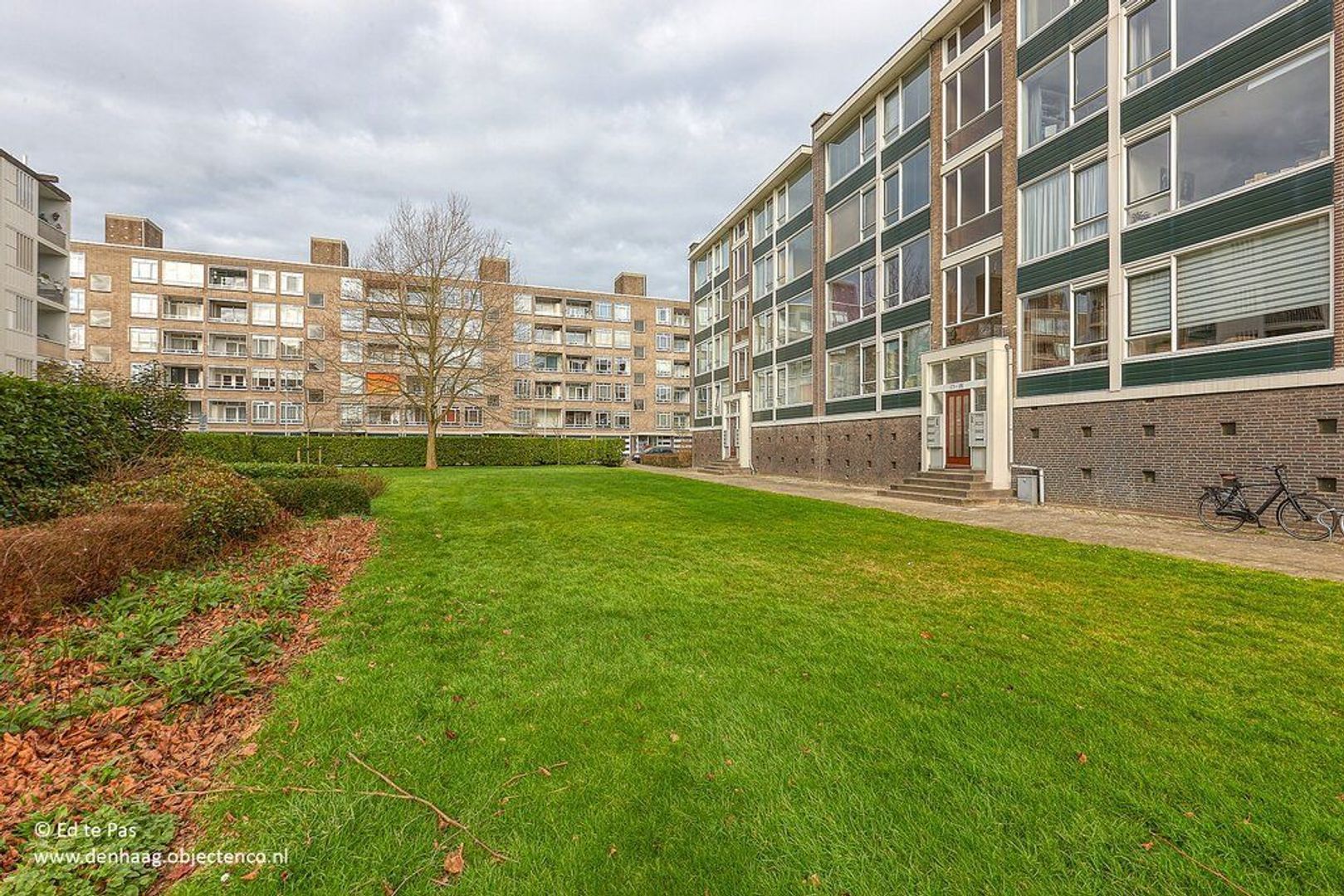 Smaragdhorst, Den Haag foto-23 blur