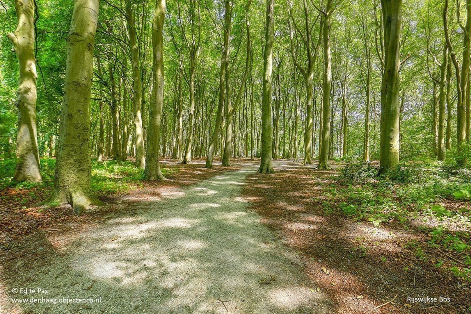 Park de Wervelaan, Rijswijk foto-31 blur