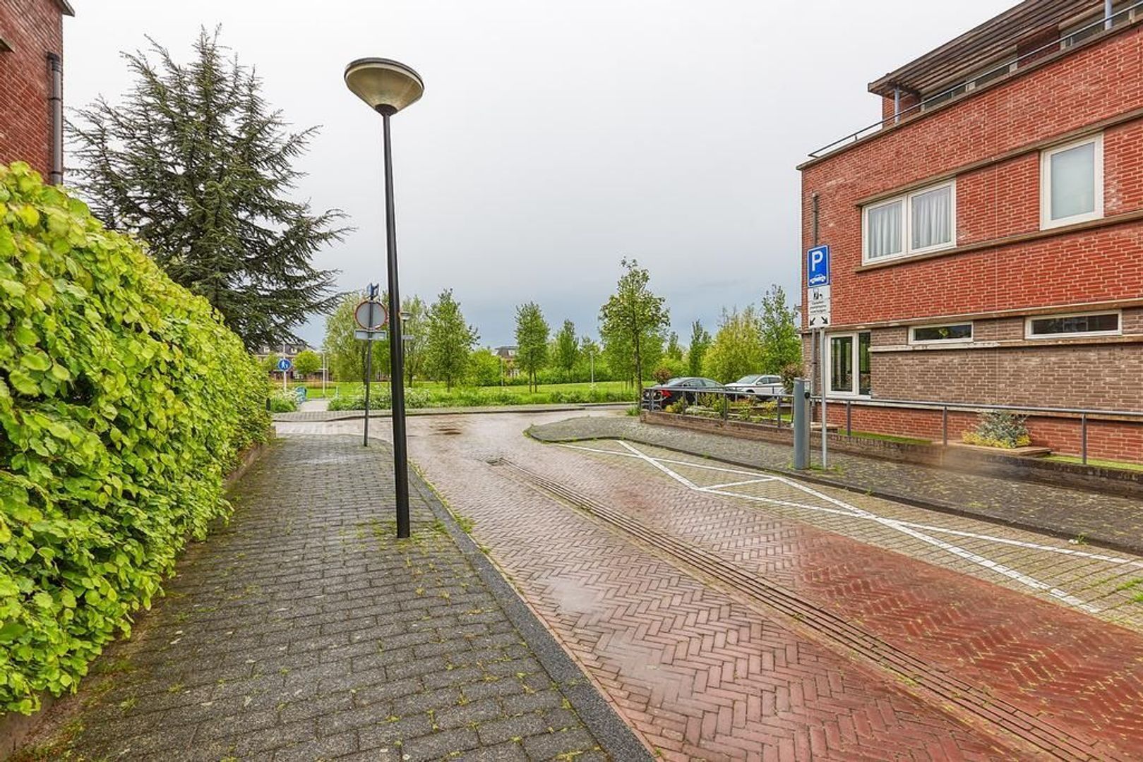 Sonsbeekstraat, Den Haag foto-32 blur