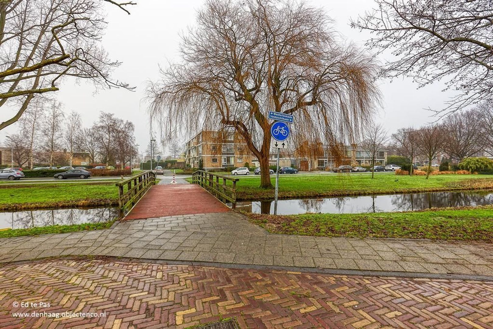 Professor Casimirstraat, Voorburg foto-34 blur