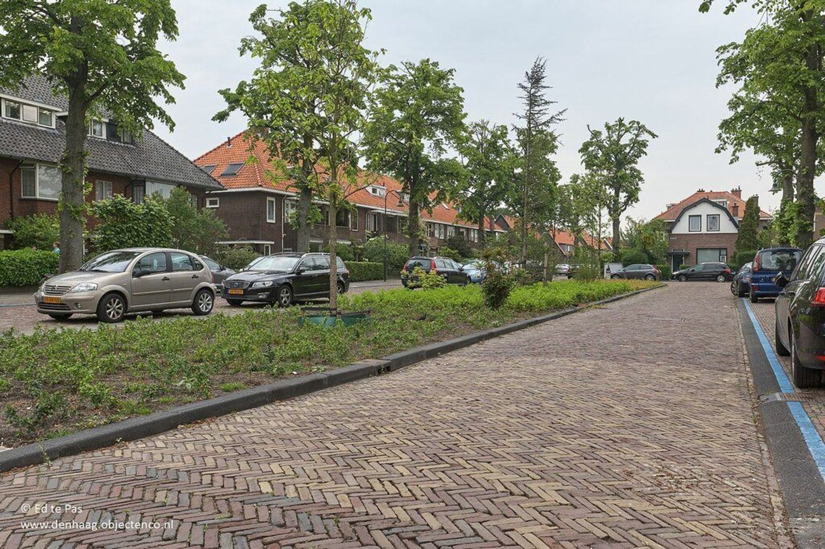 Laan van Haagvliet, Voorburg foto-30 blur
