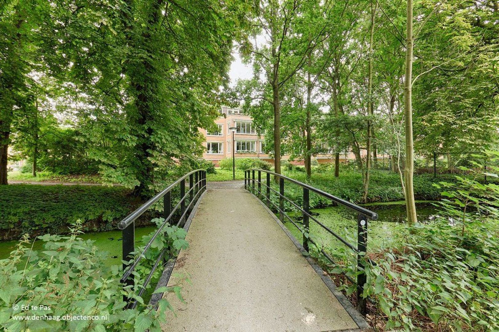 Floris Arntzeniusplein, Den Haag foto-25 blur