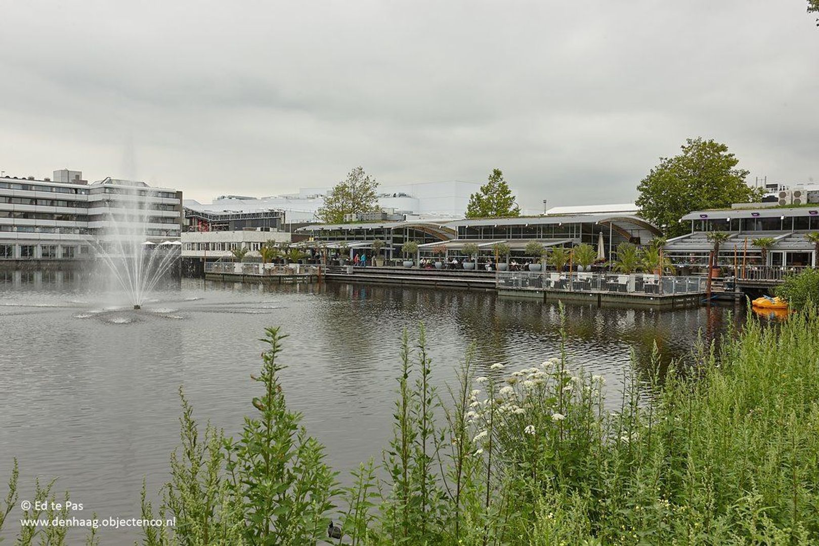 Schout Van Eijklaan, Leidschendam foto-30 blur