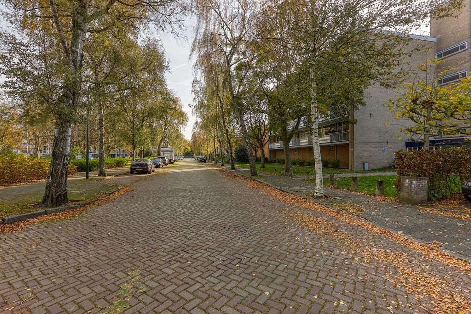 Willem de Bijelaan, Voorburg foto-22 blur