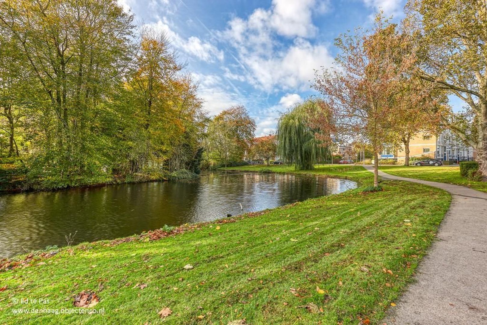 Willem de Bijelaan, Voorburg foto-27 blur