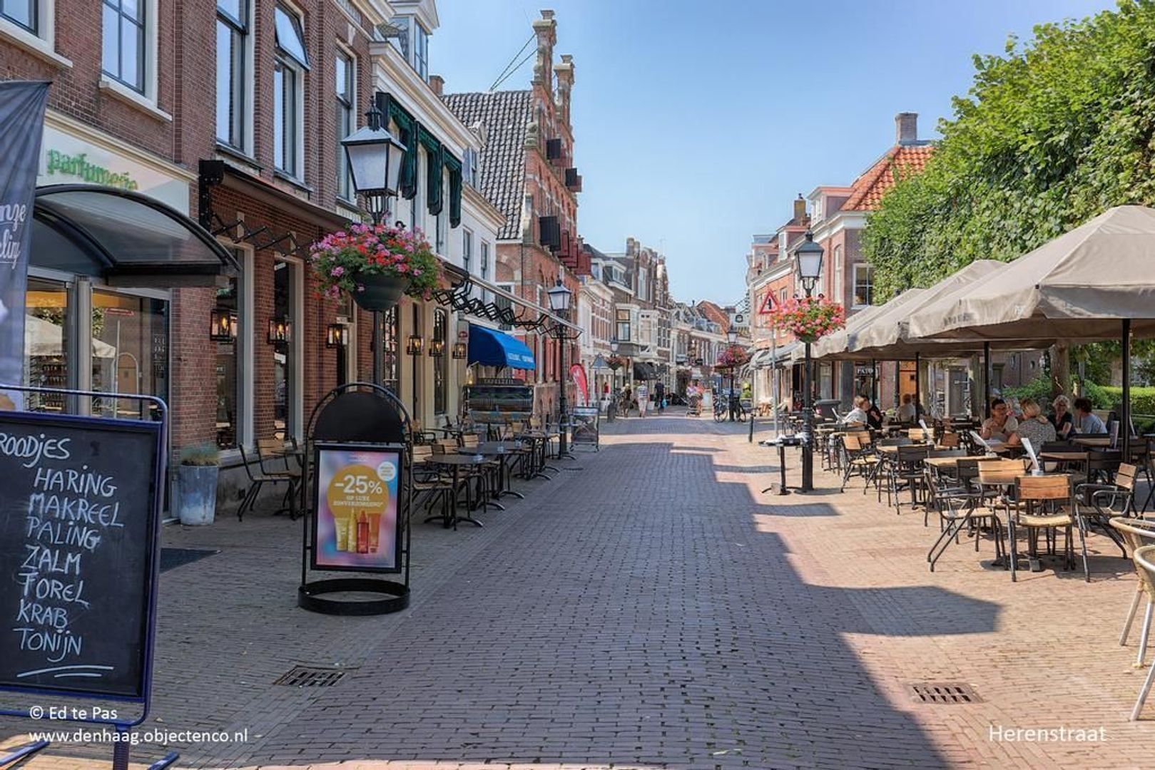 Willem de Bijelaan, Voorburg foto-29 blur