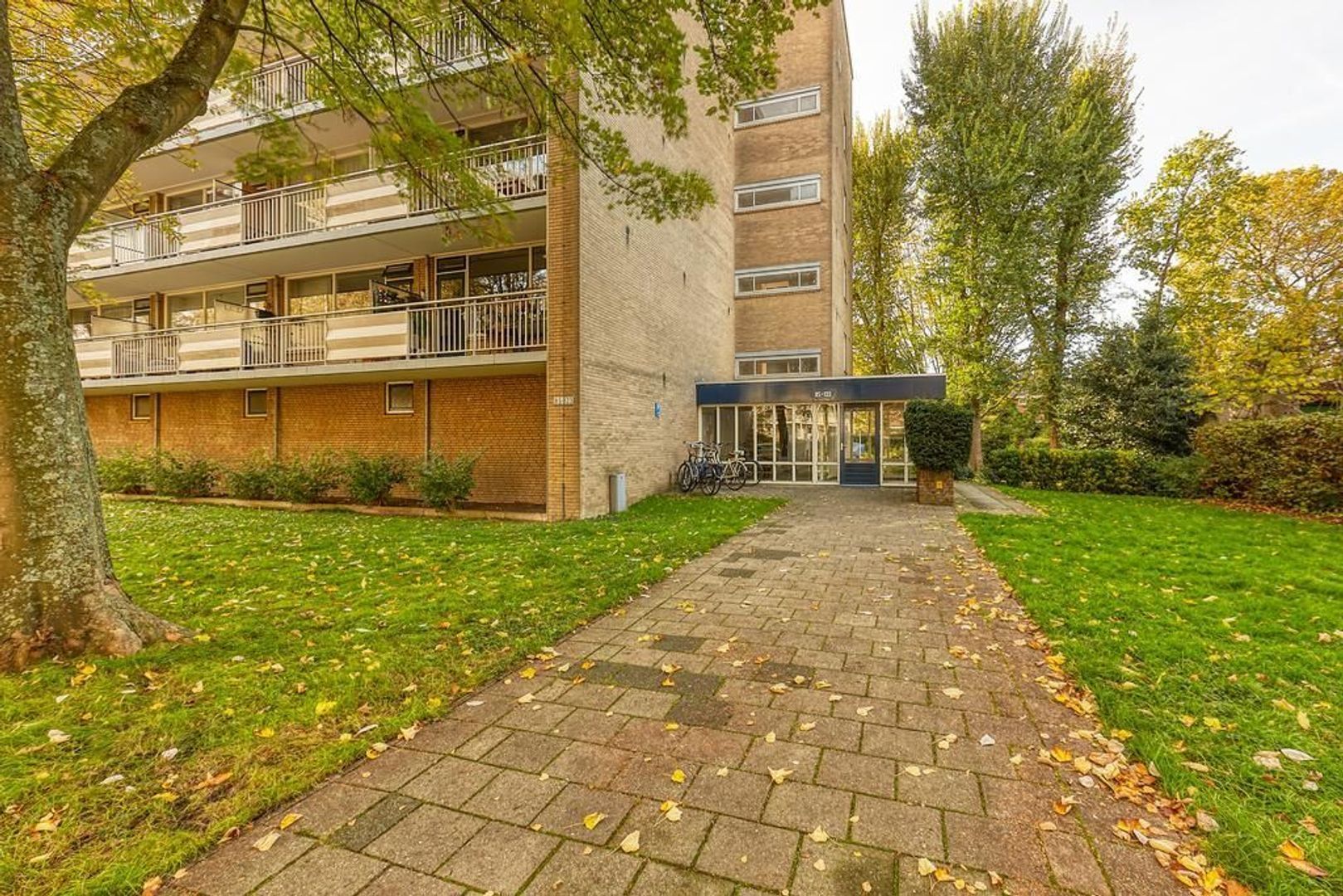 Willem de Bijelaan, Voorburg foto-20 blur