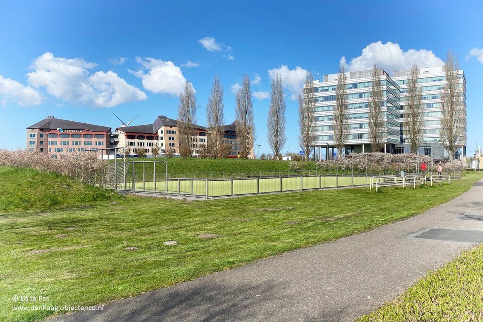 Hondsdrafveld, Den Haag foto-34 blur