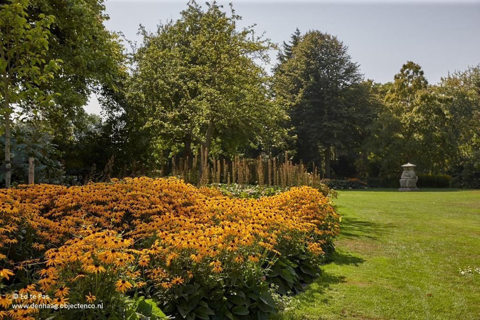 Parkweg, Den Haag foto-34 blur