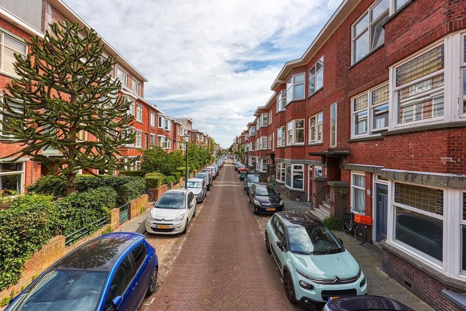 Perenstraat, Den Haag foto-36 blur