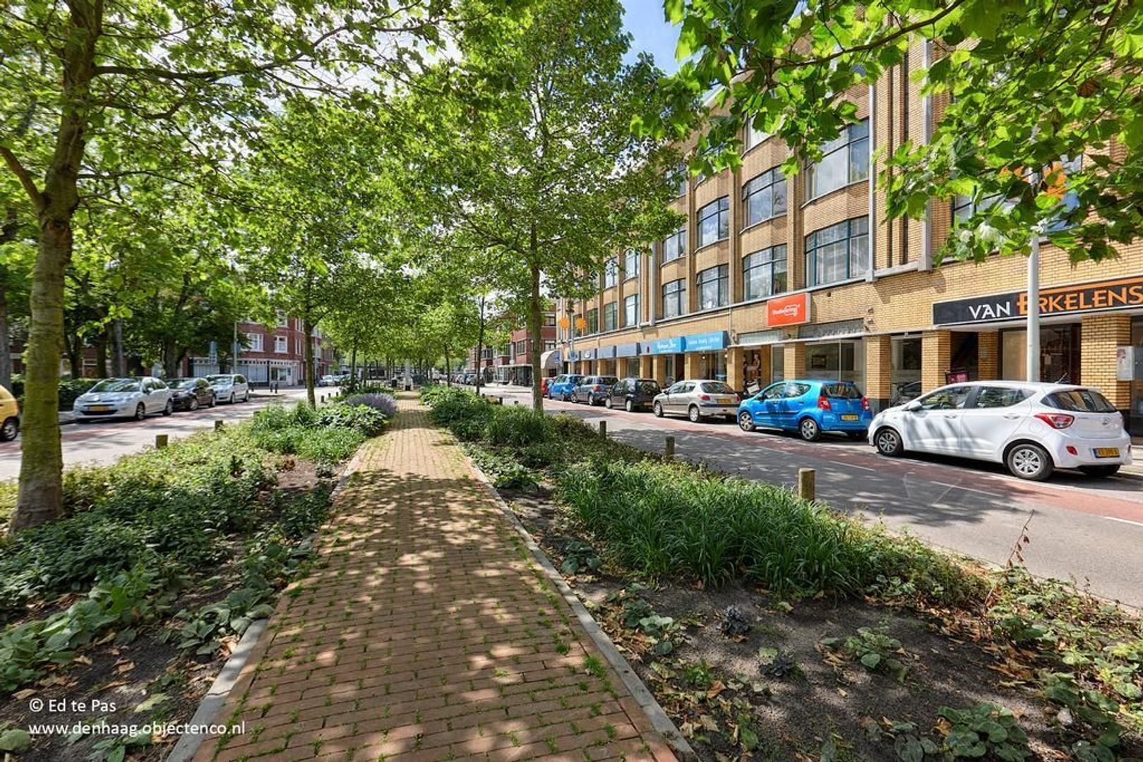 Perenstraat, Den Haag foto-39 blur