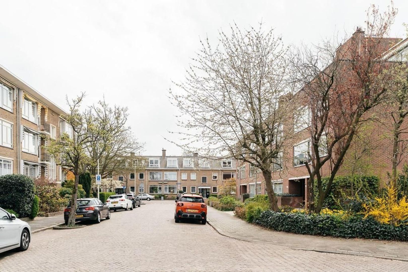 Mankesstraat, Den Haag foto-19 blur