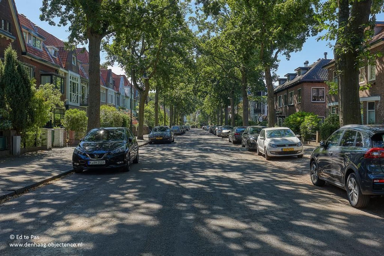 Groen van Prinstererlaan, Voorburg foto-31 blur