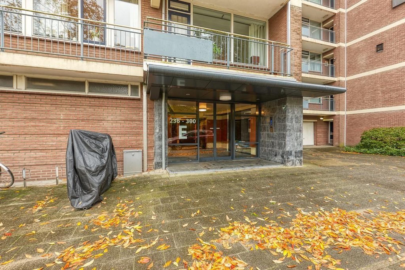 Populierendreef, Voorburg foto-28 blur