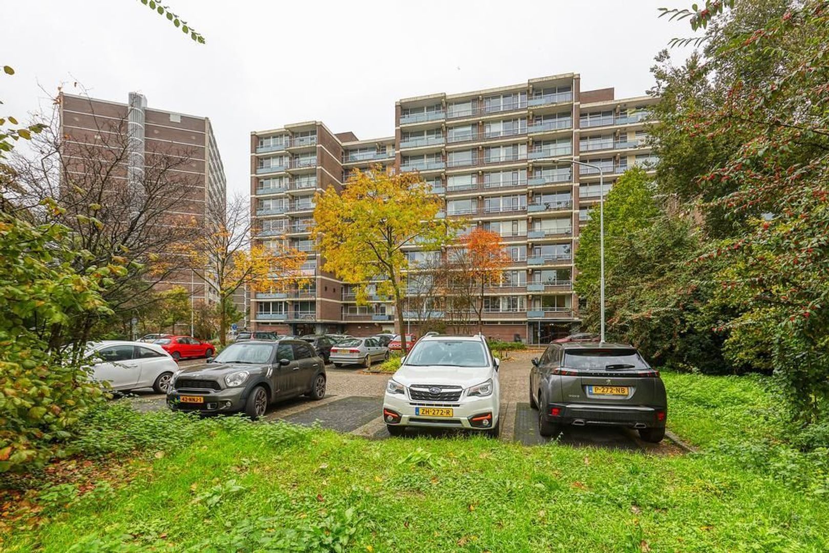 Populierendreef, Voorburg foto-31 blur