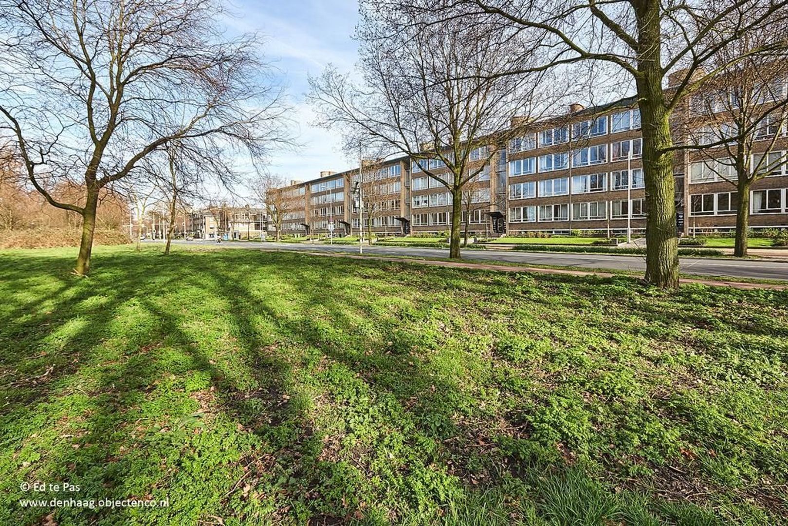 Segbroeklaan, Den Haag foto-38 blur