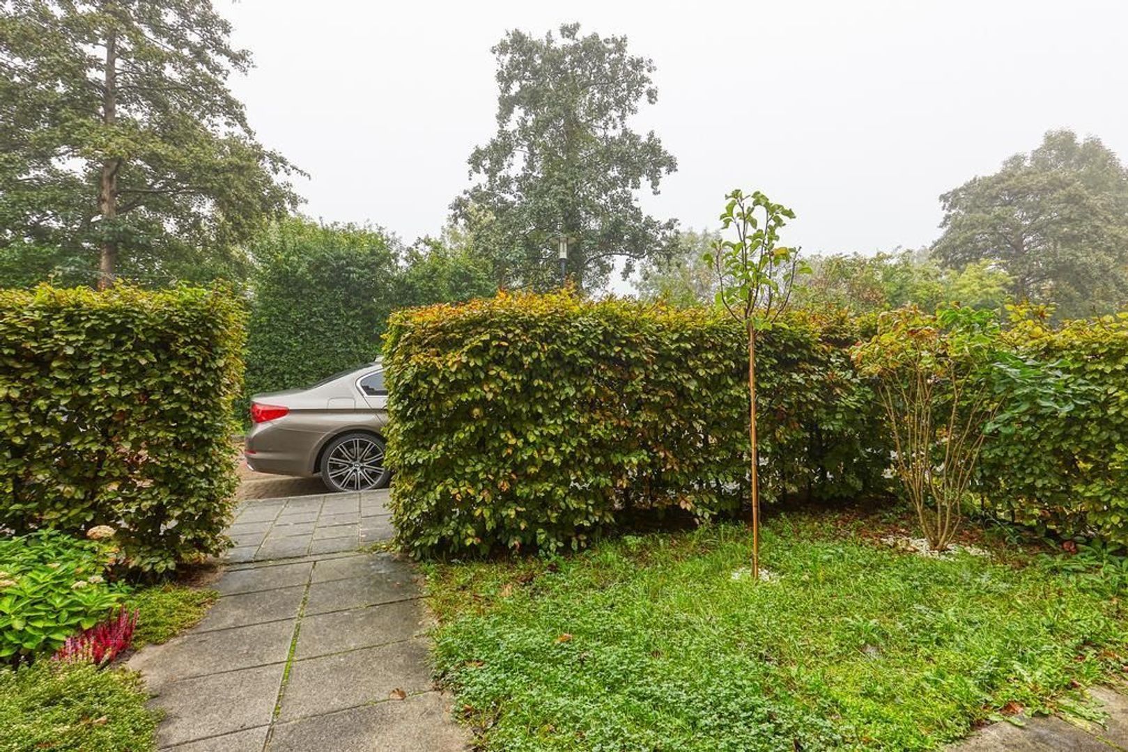Burgemeester Cannegieterlaan, Voorschoten foto-37 blur