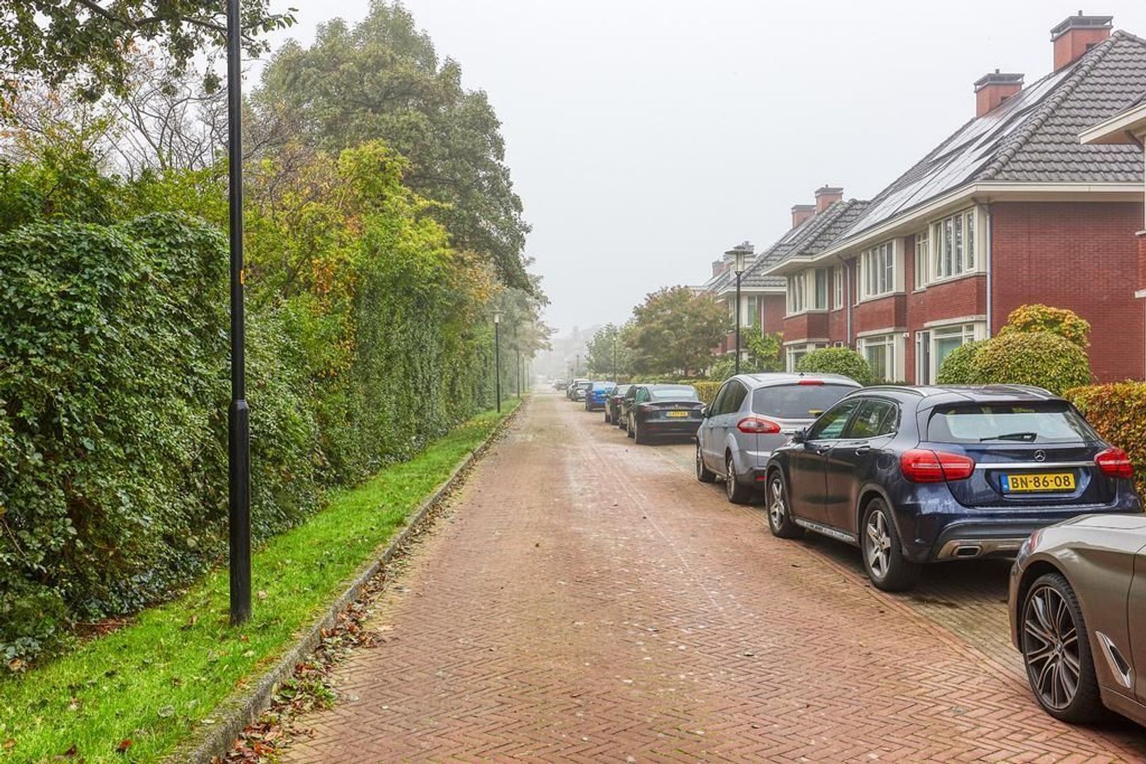 Burgemeester Cannegieterlaan, Voorschoten foto-38 blur