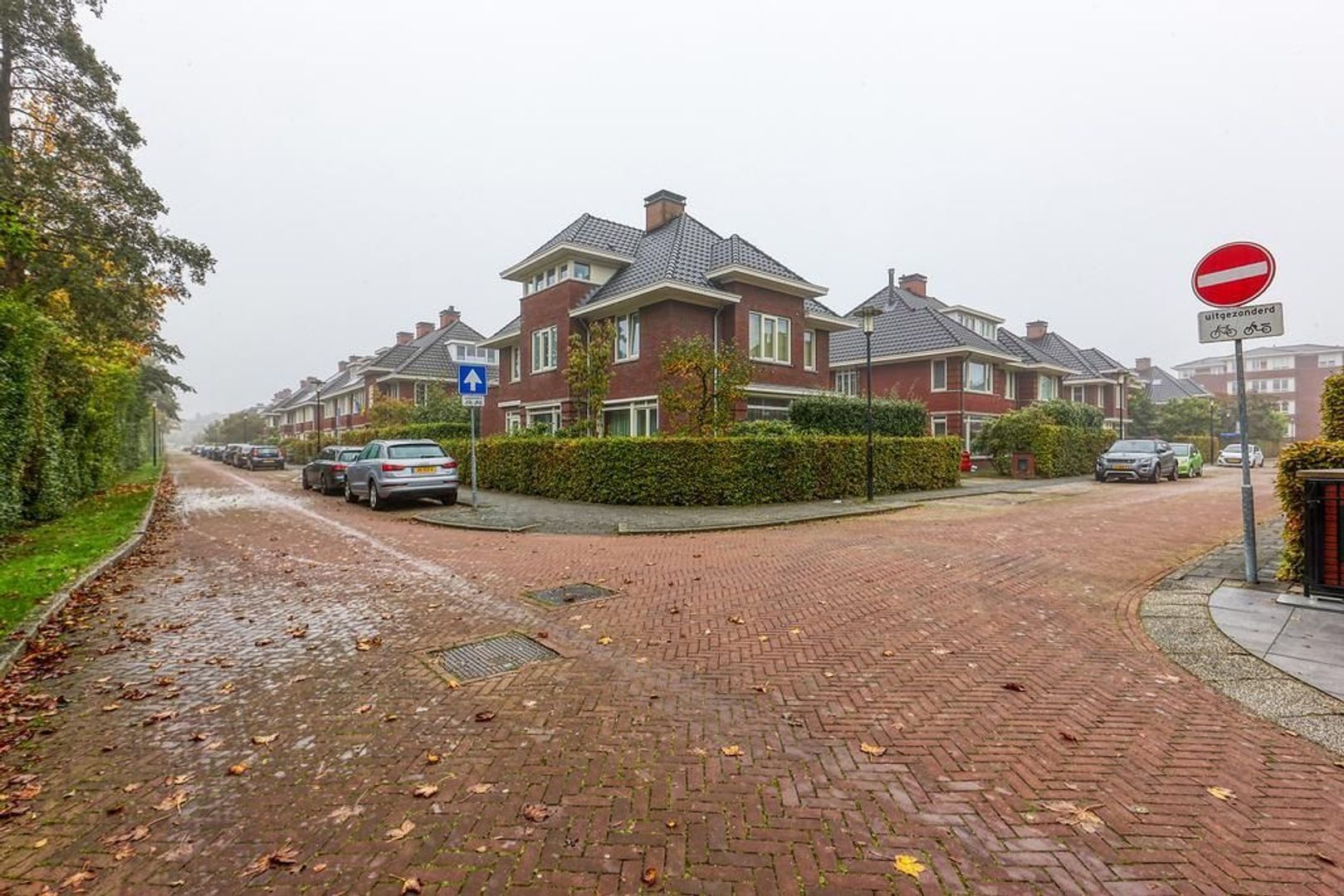 Burgemeester Cannegieterlaan, Voorschoten foto-40 blur