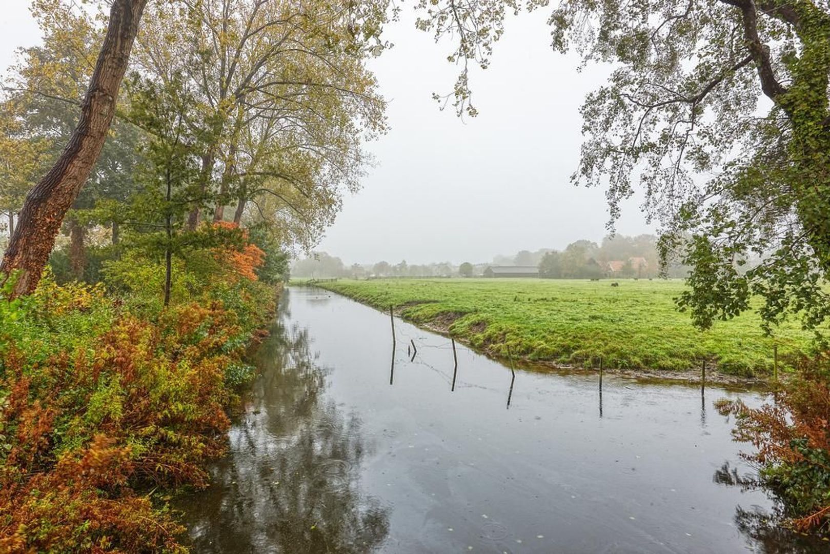 Burgemeester Cannegieterlaan, Voorschoten foto-42 blur