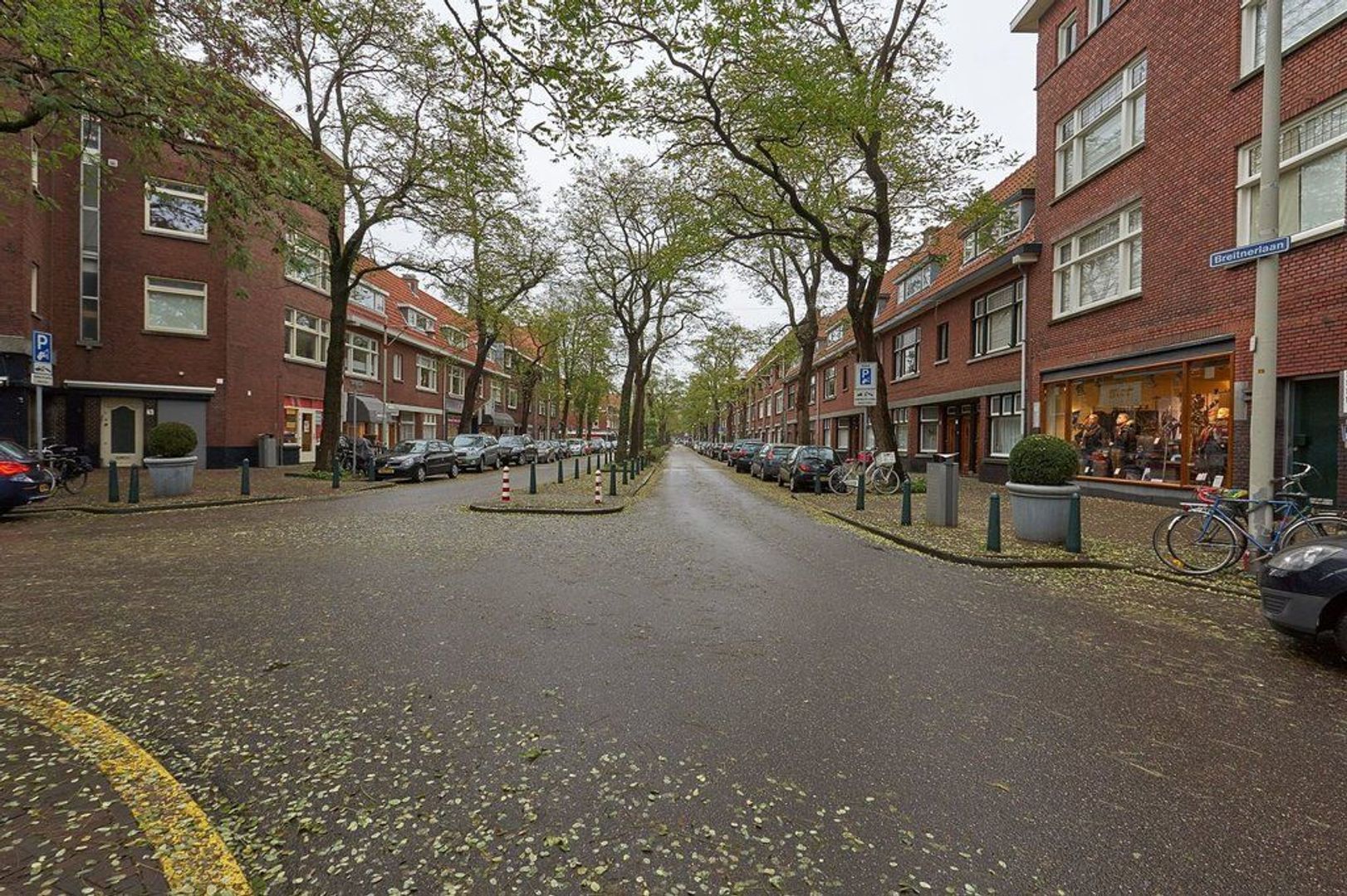 Van Hoytemastraat, Den Haag foto-28 blur