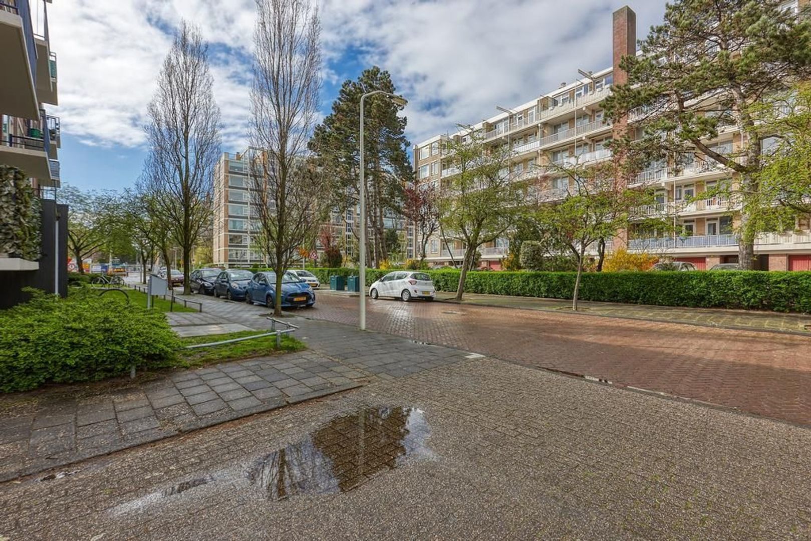 Cornelie van Zantenstraat, Den Haag foto-30 blur