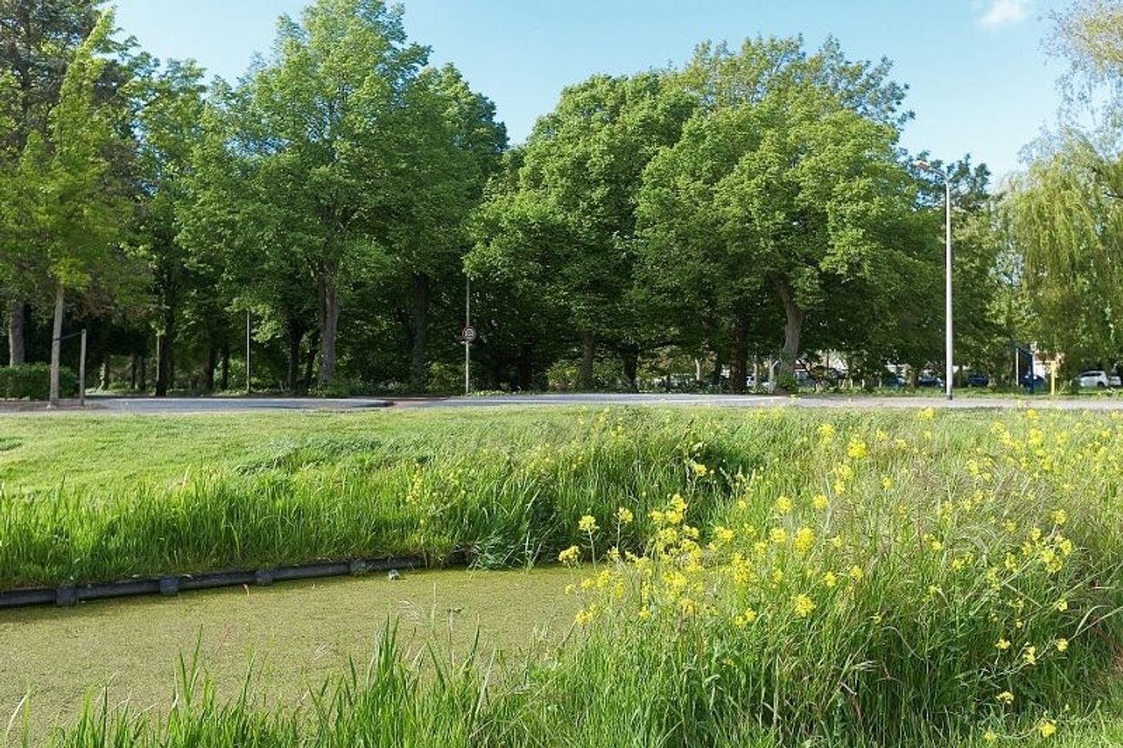 Fabritiuslaan, Wassenaar foto-29 blur