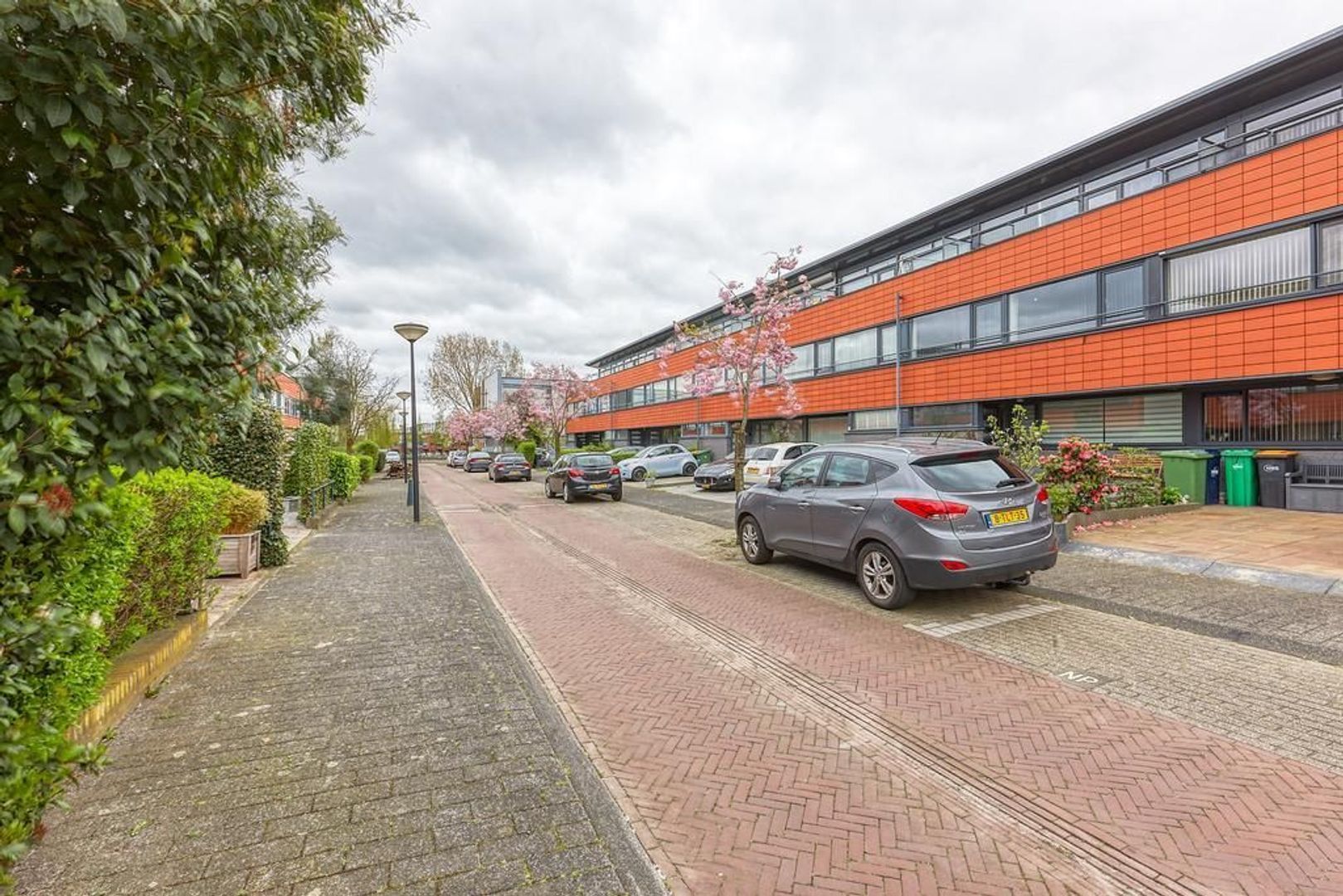 Ter Nieuwburgstraat, Den Haag foto-39 blur