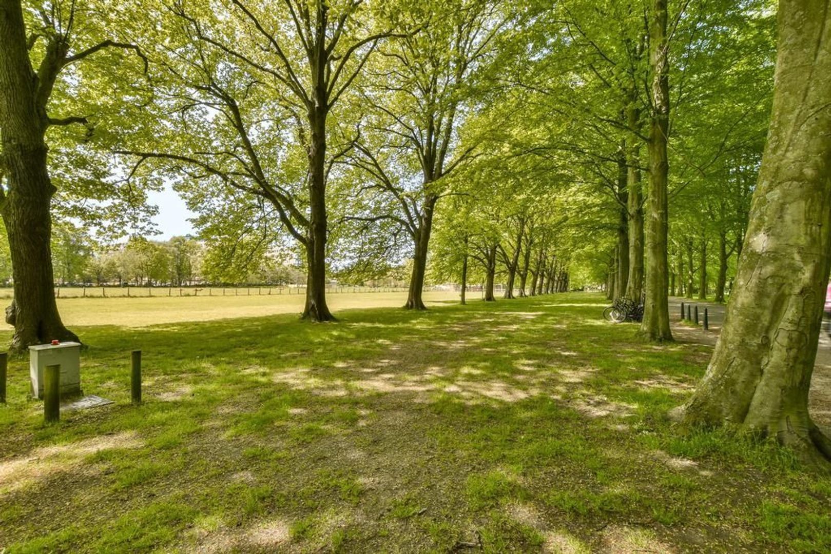 Laan van Clingendael, Den Haag foto-34 blur