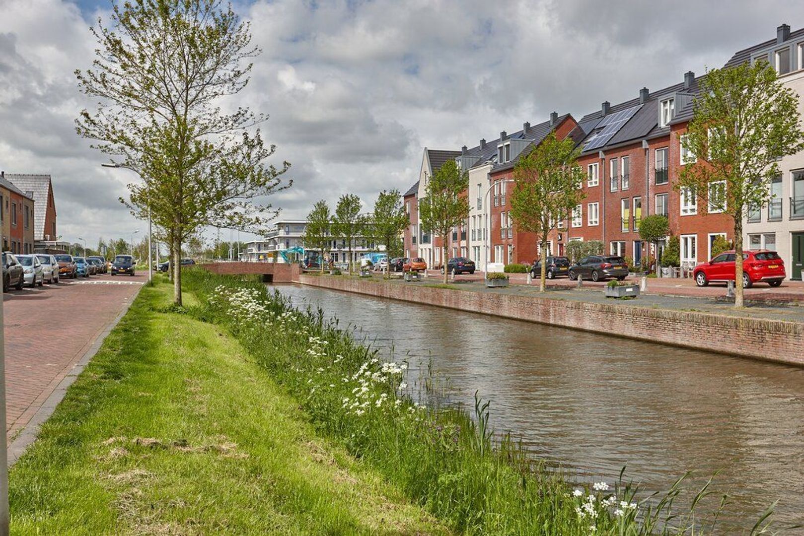 Bosmuiszoom, Pijnacker foto-30 blur