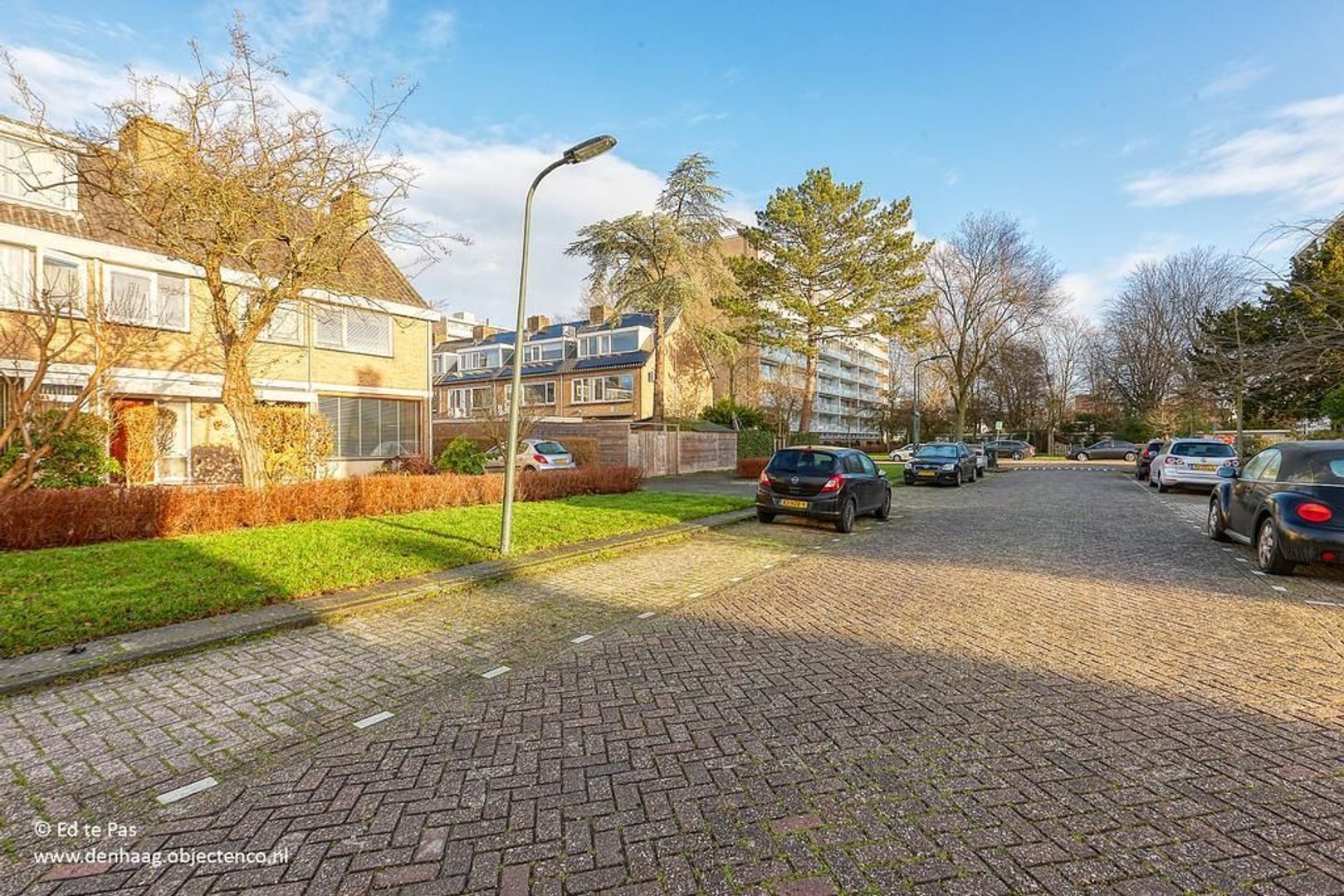 Spechtlaan, Leidschendam foto-35 blur