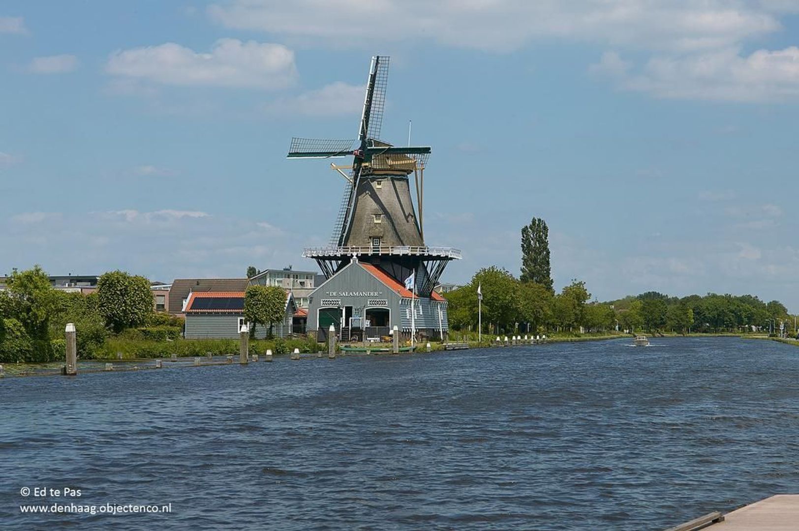 Spechtlaan, Leidschendam foto-40 blur