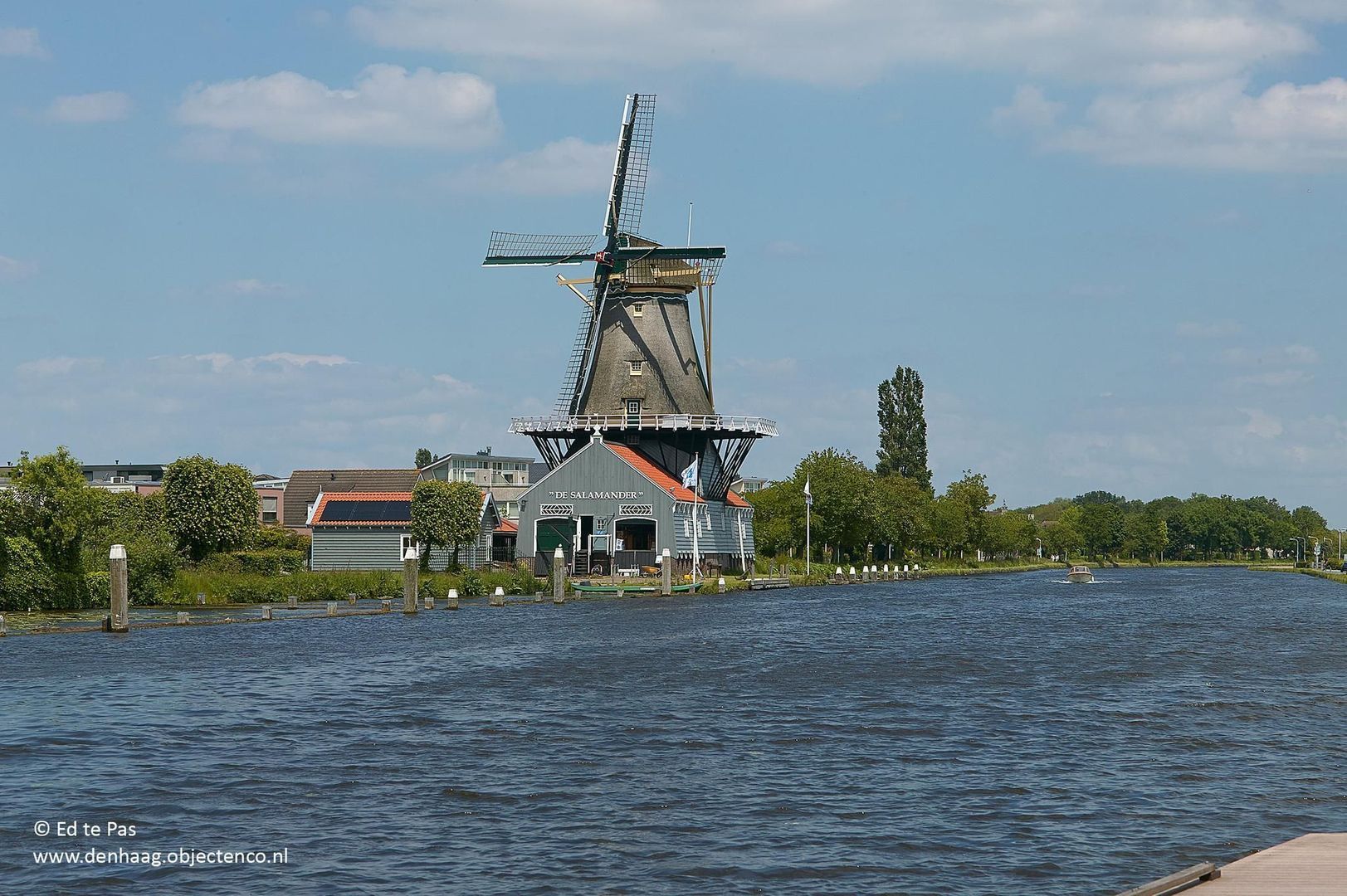 Prinses Carolinalaan, Leidschendam foto-36 blur