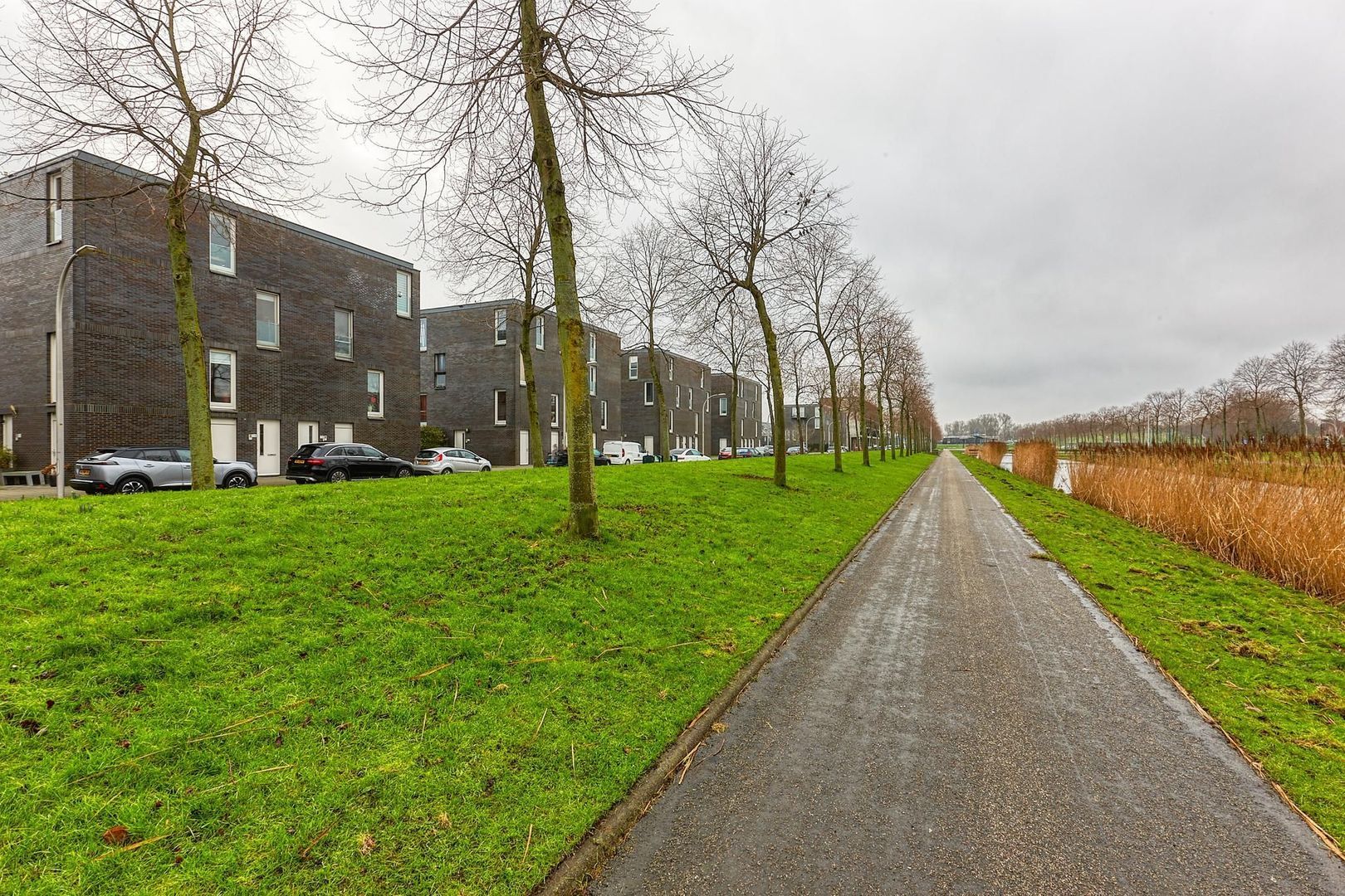 Van der Woudendijk, Den Haag foto-36 blur