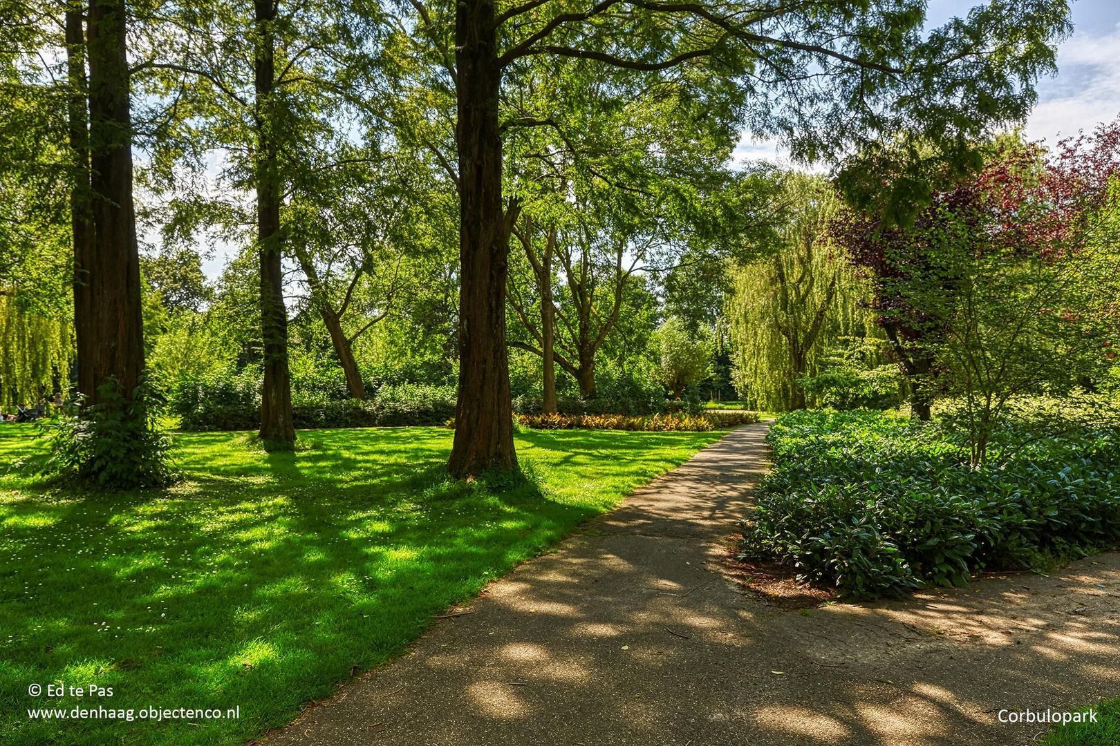van de Wateringelaan, Voorburg foto-31 blur