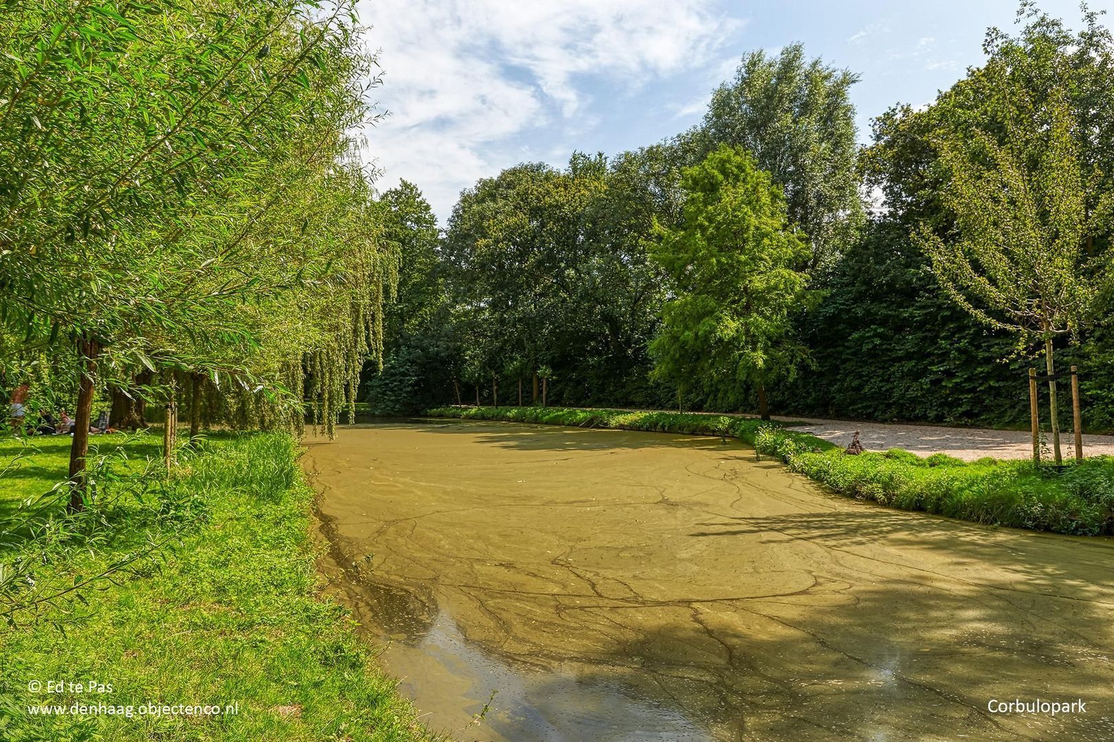 van de Wateringelaan, Voorburg foto-34 blur