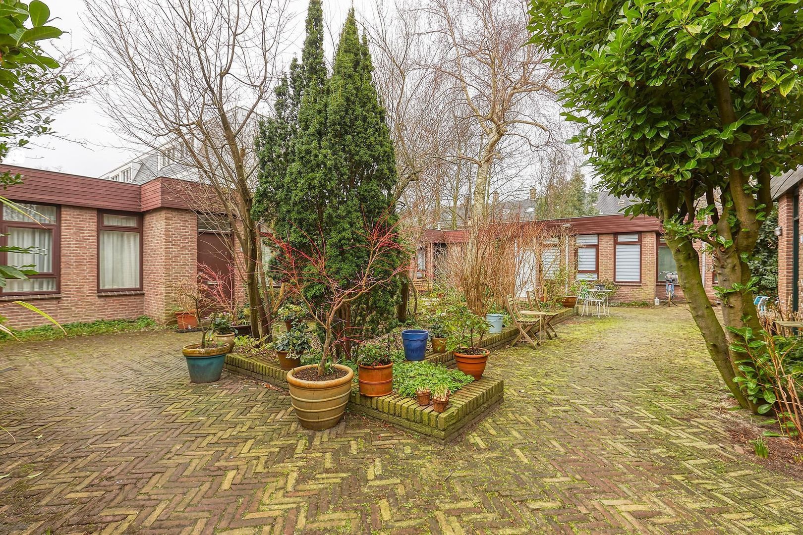 Sumatrastraat, Den Haag foto-13 blur