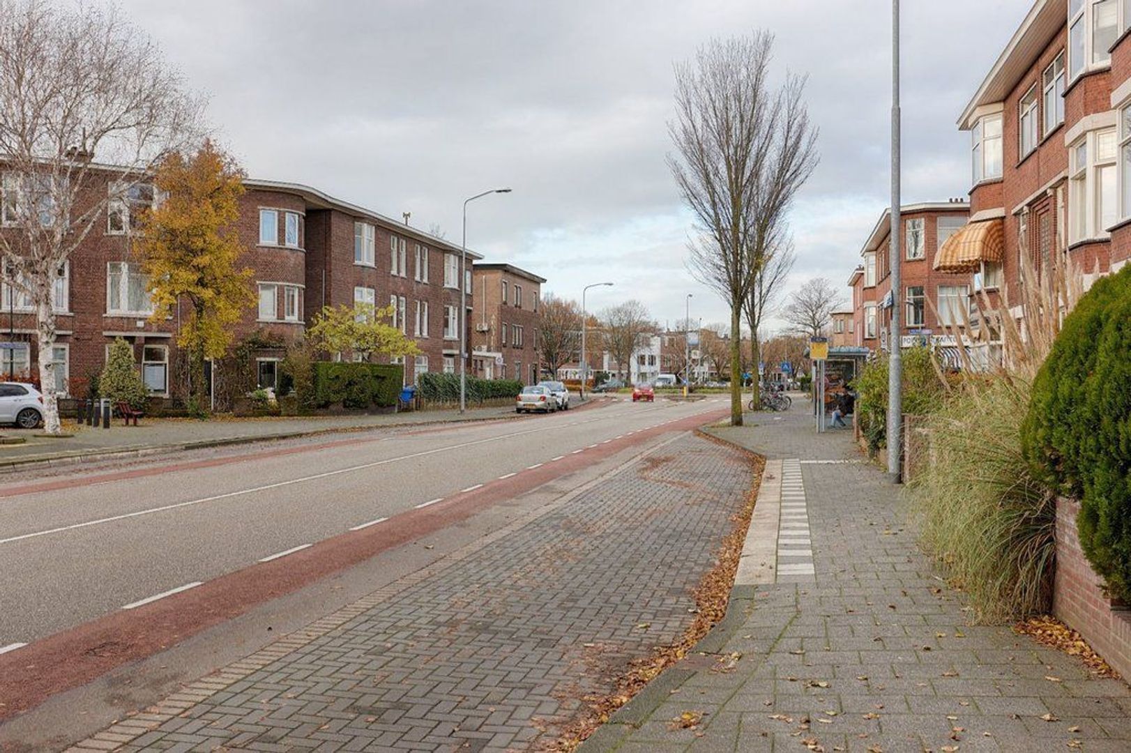 van Halewijnlaan, Voorburg foto-37 blur