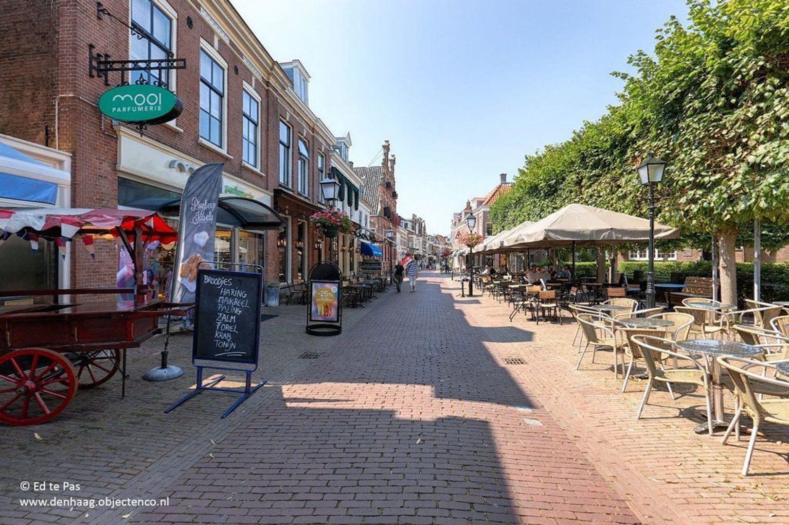van Halewijnlaan, Voorburg foto-43 blur